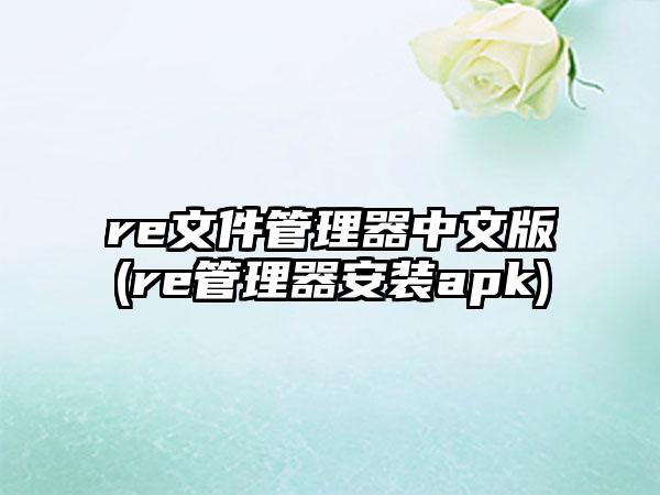 re文件管理器中文版(re管理器安装apk)