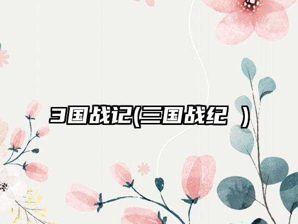 3国战记(三国战纪 )