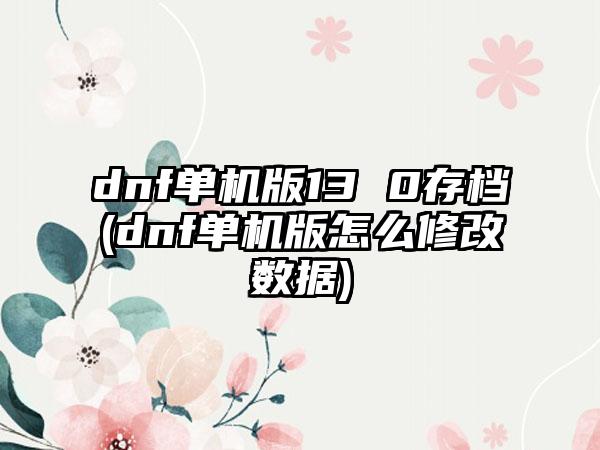 dnf单机版13 0存档(dnf单机版怎么修改数据)