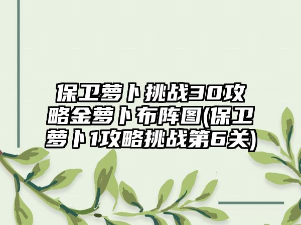 保卫萝卜挑战30攻略金萝卜布阵图(保卫萝卜1攻略挑战第6关)