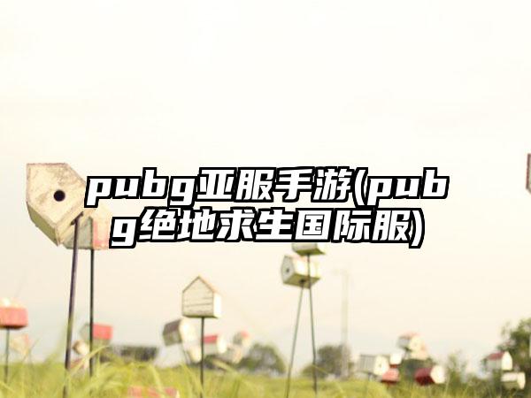 pubg亚服手游(pubg绝地求生国际服)