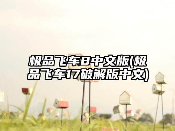 极品飞车8中文版(极品飞车17破解版中文)