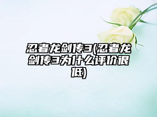 忍者龙剑传3(忍者龙剑传3为什么评价很低)