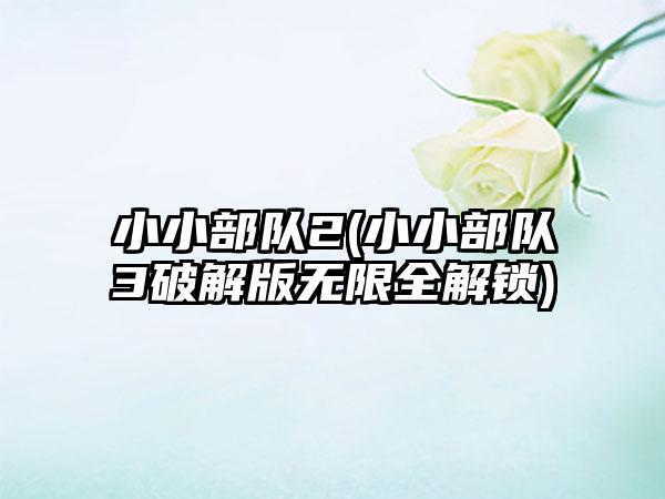 小小部队2(小小部队3破解版无限全解锁)