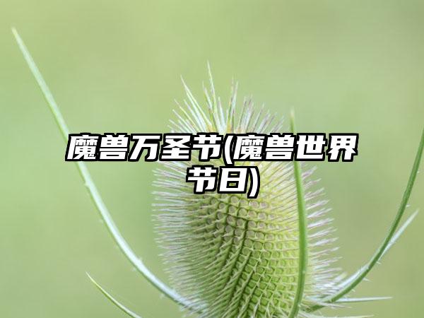 魔兽万圣节(魔兽世界 节日)