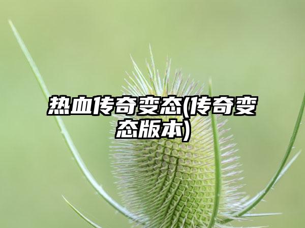 热血传奇变态(传奇变态版本)