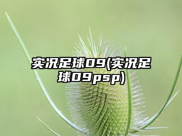 实况足球09(实况足球09psp)