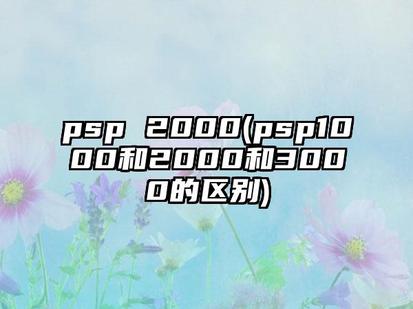 psp 2000(psp1000和2000和3000的区别)
