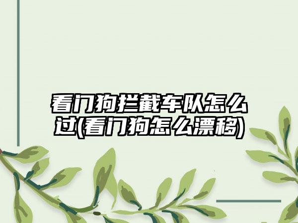 看门狗拦截车队怎么过(看门狗怎么漂移)