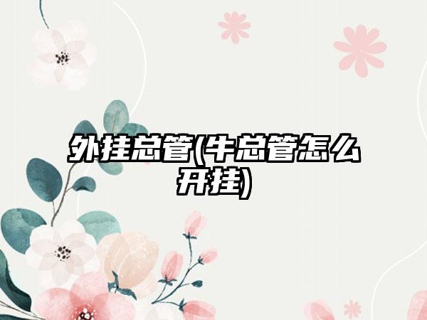 外挂总管(牛总管怎么开挂)