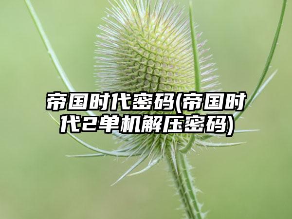帝国时代密码(帝国时代2单机解压密码)