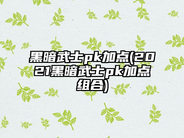 黑暗武士pk加点(2021黑暗武士pk加点组合)