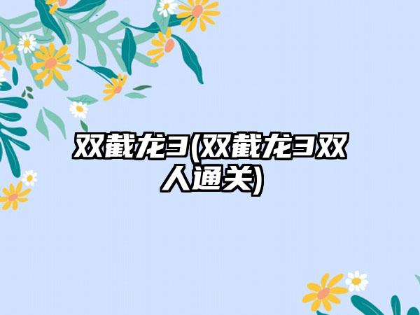 双截龙3(双截龙3双人通关)