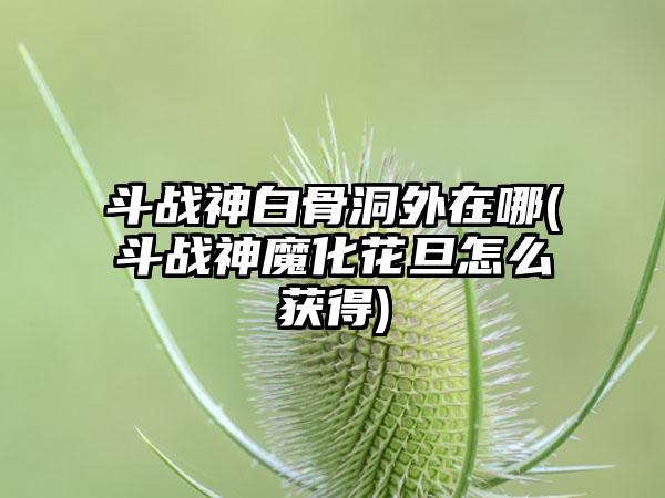 斗战神白骨洞外在哪(斗战神魔化花旦怎么获得)