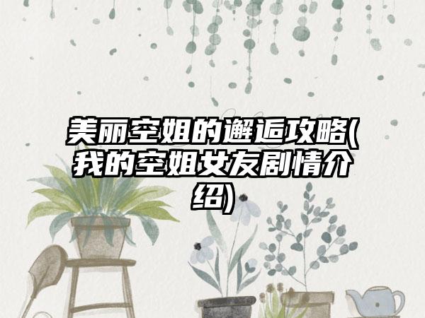 美丽空姐的邂逅攻略(我的空姐女友剧情介绍)