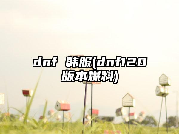 dnf 韩服(dnf120版本爆料)