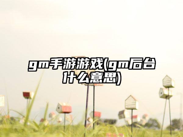 gm手游游戏(gm后台什么意思)