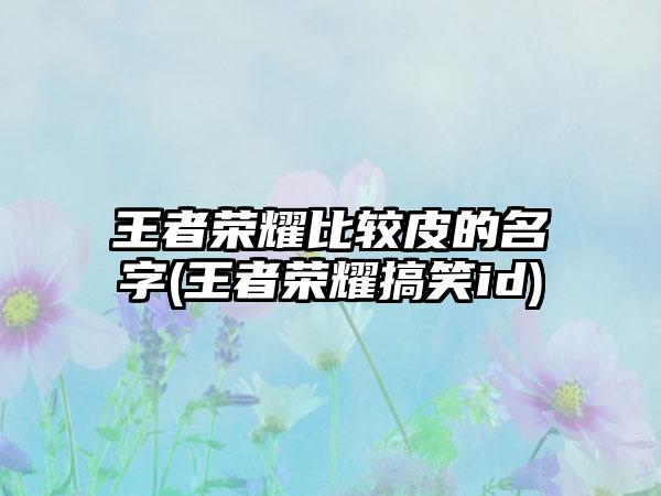 王者荣耀比较皮的名字(王者荣耀搞笑id)