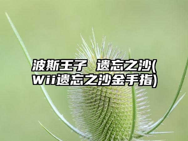 波斯王子 遗忘之沙(Wii遗忘之沙金手指)