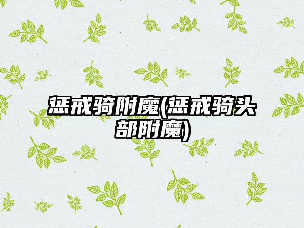 惩戒骑附魔(惩戒骑头部附魔)