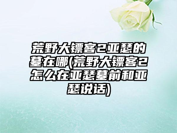 荒野大镖客2亚瑟的墓在哪(荒野大镖客2怎么在亚瑟墓前和亚瑟说话)