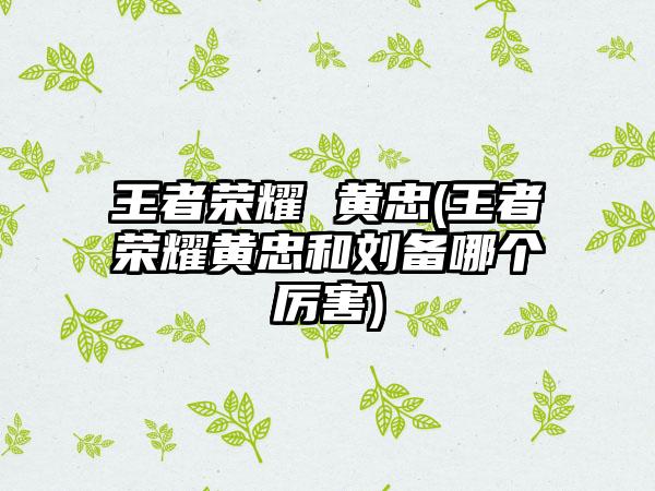王者荣耀 黄忠(王者荣耀黄忠和刘备哪个厉害)