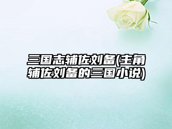 三国志辅佐刘备(主角辅佐刘备的三国小说)