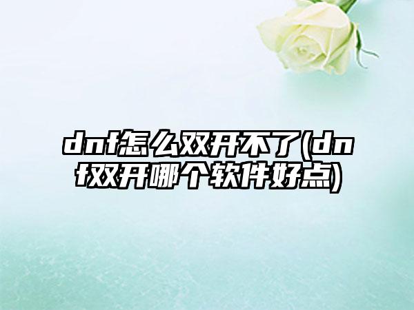 dnf怎么双开不了(dnf双开哪个软件好点)