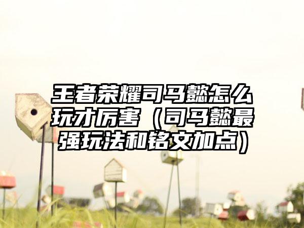 王者荣耀司马懿怎么玩才厉害（司马懿最强玩法和铭文加点）