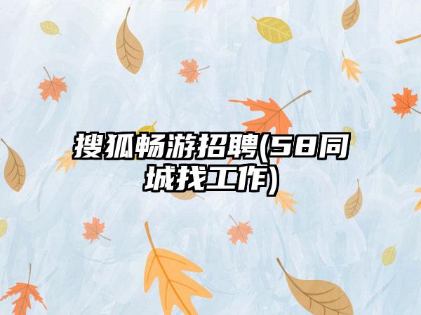 搜狐畅游招聘(58同城找工作)