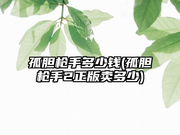 孤胆枪手多少钱(孤胆枪手2正版卖多少)