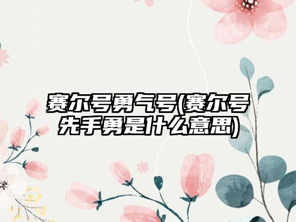 赛尔号勇气号(赛尔号先手勇是什么意思)