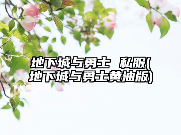 地下城与勇士 私服(地下城与勇士黄油版)