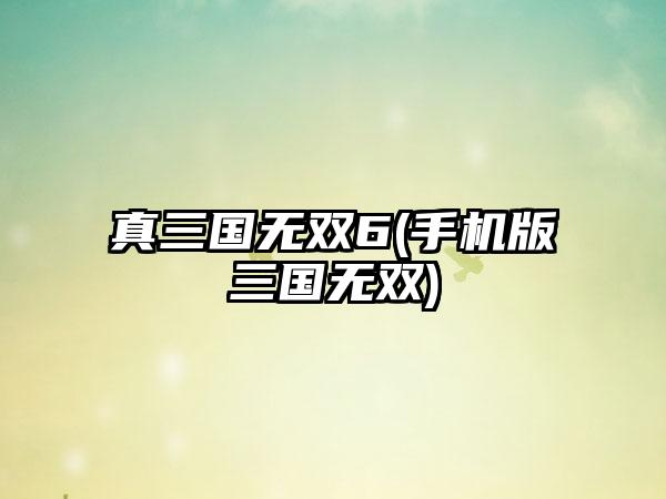 真三国无双6(手机版三国无双)