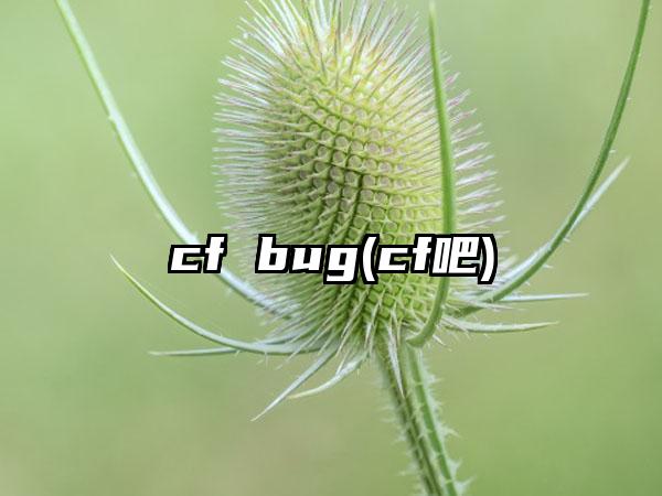 cf bug(cf吧)