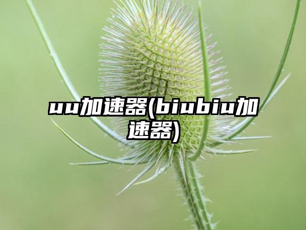 uu加速器(biubiu加速器)