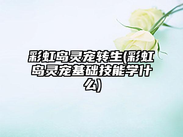 彩虹岛灵宠转生(彩虹岛灵宠基础技能学什么)