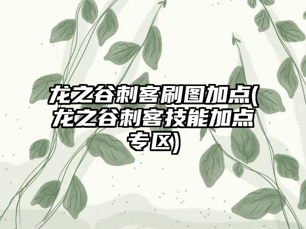 龙之谷刺客刷图加点(龙之谷刺客技能加点专区)