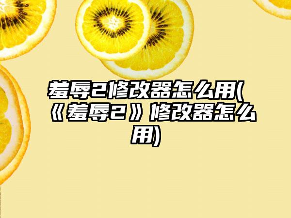 羞辱2修改器怎么用(《羞辱2》修改器怎么用)