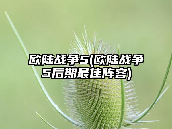 欧陆战争5(欧陆战争5后期最佳阵容)