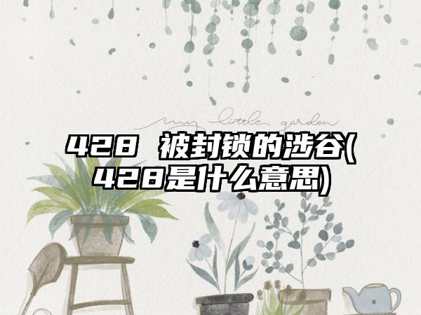 428 被封锁的涉谷(428是什么意思)