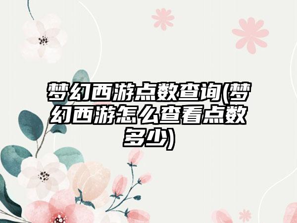 梦幻西游点数查询(梦幻西游怎么查看点数多少)