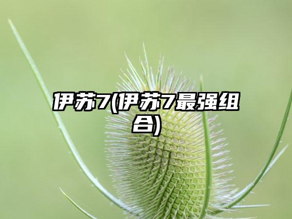 伊苏7(伊苏7最强组合)