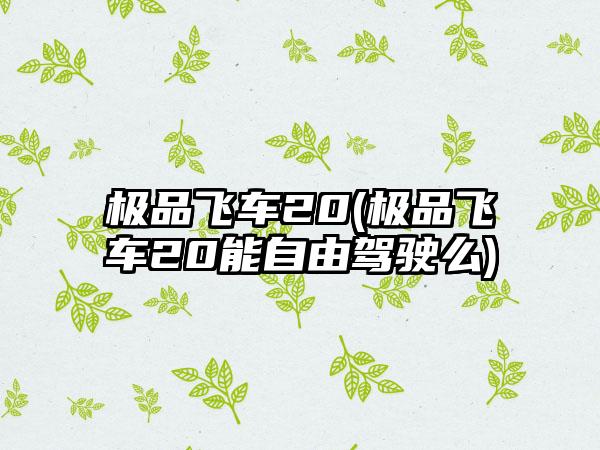 极品飞车20(极品飞车20能自由驾驶么)