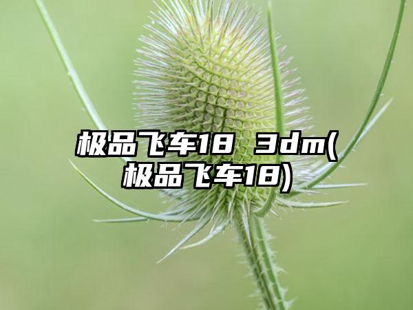 极品飞车18 3dm(极品飞车18)