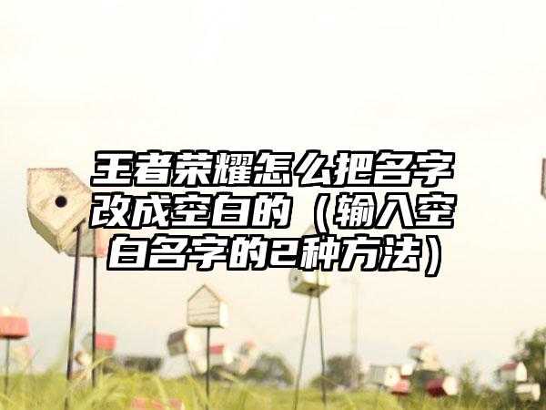王者荣耀怎么把名字改成空白的（输入空白名字的2种方法）