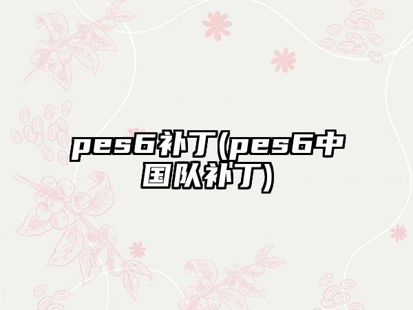 pes6补丁(pes6中国队补丁)