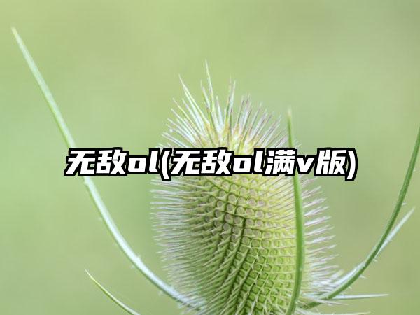 无敌ol(无敌ol满v版)