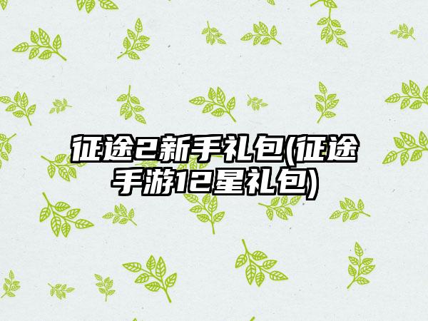 征途2新手礼包(征途手游12星礼包)