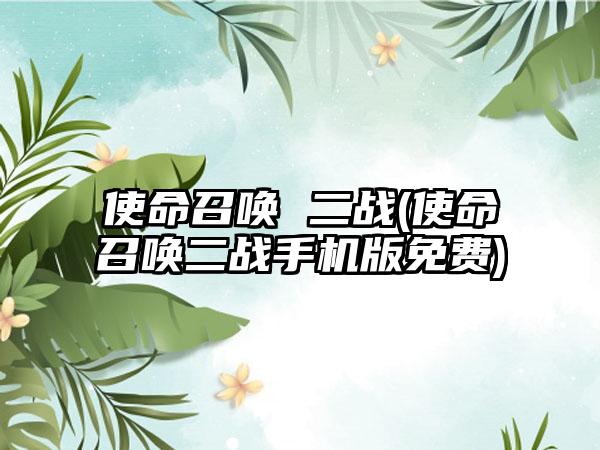 使命召唤 二战(使命召唤二战手机版免费)